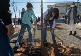 Plantación CEIP El Albujón