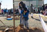 Plantacin CEIP El Albujn