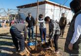 Plantacin CEIP El Albujn