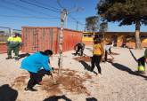 Plantacin CEIP El Algar