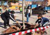 Plantacin CEIP El Algar