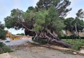 Trabajos de limpieza en playas tras el temporal