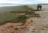 Trabajos de limpieza en playas tras el temporal