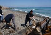 Trabajos de limpieza en las playas 