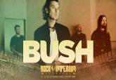 Creatividad de Bush