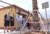 Reposición de palmeras en la barriada Virgen de la Caridad