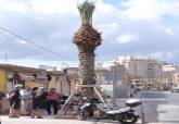 Reposición de palmeras en la barriada Virgen de la Caridad