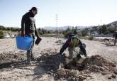 La Vaguada se hace ms verde con la plantacin de 200 rboles en la avenida del Descubrimiento de Amrica