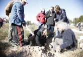 La Vaguada se hace ms verde con la plantacin de 200 rboles en la avenida del Descubrimiento de Amrica