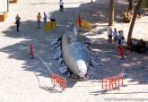 La réplica a escala real del prototipo del submarino de Isaac Peral, que ya se instaló en el centro de Madrid, está en la plaza Juan XXIII con motivo de Mucho Más Mayo y La Noche de los Museos