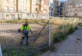 Trabajos de limpieza y conservacin preventiva de yacimientos arqueolgicos en la Morera Baja
