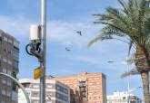 Paneles de control para monitorizar el tráfico en la Zona de Bajas Emisiones