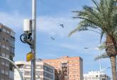 Paneles de control para monitorizar el trfico en la Zona de Bajas Emisiones