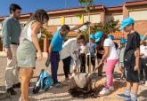 El Ayuntamiento amplía a más de 100 árboles el plan de sombraje natural en los colegios este curso