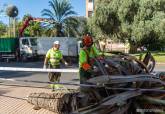 Operarios municipales recogen arbolado junto al monumento al Radioaficionado de Cartagena.