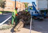 Operarios municipales recogen arbolado junto al monumento al Radioaficionado de Cartagena.