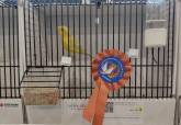 IX Campeonato Ornitolgico de la Regin de Murcia