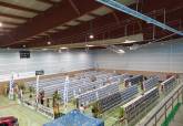 IX Campeonato Ornitolgico de la Regin de Murcia
