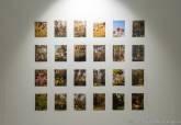 Exposición 'Atamaría, un bosque mágico', de Raquel Clivent