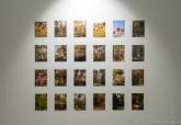 Exposicin 'Atamara, un bosque mgico', de Raquel Clivent