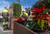 Plantas Navidad Cartagena Flor de Pascua Jardineros.