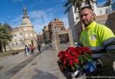 Plantas Navidad Cartagena Flor de Pascua Jardineros.