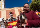 Bendición de animales en la Parroquia de San Antón