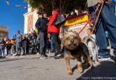 Bendicin de animales en la Parroquia de San Antn