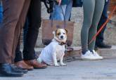 Bendición de animales en la Parroquia de San Antón