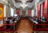 Pleno municipal