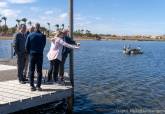 Retirada de biomasa en Estrella de Mar, junto a club nutico de Los Urrutias.