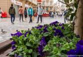 Cartagena planta más de 18.000 petunias con flores del color de las cofradías de Semana Santa