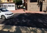 Ejecucin de dos pasos sobreelevados del proyecto Espacio Algameca