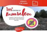 Proyecto Basuraleza