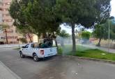 Cartagena refuerza el control del mosquito tigre y detecta aumento de focos en parcelas privadas