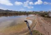 Cartagena refuerza el control del mosquito tigre y detecta aumento de focos en parcelas privadas