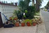 Cartagena refuerza el control del mosquito tigre y detecta aumento de focos en parcelas privadas