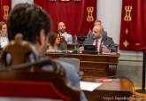 Pleno municipal