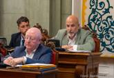 Pleno municipal