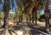 Palmeral de Cabo de Palos