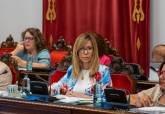 El pleno respalda mociones sobre patrimonio y mejoras en barrios y diputaciones