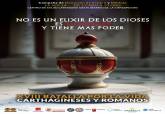Cartel de la campaa de donacin de sangre  XVIII Batalla por la vida de Carthagineses y Romanos