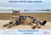 Exposicin 'Pasin por el Mar Menor', de Pascual Ballesteros