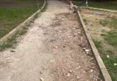 El PSOE denuncia el lamentable y peligroso estado del Parque del Ensanche