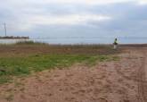 El Ayuntamiento recupera del mar mil toneladas de arena para regenerar Los Nietos y La Gola 