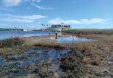 El Ayuntamiento recupera del mar mil toneladas de arena para regenerar Los Nietos y La Gola 