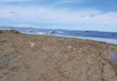 El Ayuntamiento recupera del mar mil toneladas de arena para regenerar Los Nietos y La Gola 
