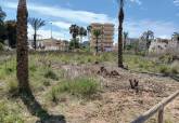 El Ayuntamiento recupera del mar mil toneladas de arena para regenerar Los Nietos y La Gola 