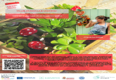 Taller de reciclaje creativo (Proyecto Life Bauhausing)