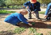 Actividad de senderismo y plantacin de rboles organizada por la Delegacin de Mayores del Ayuntamiento